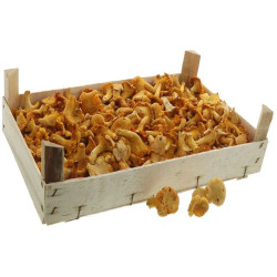CHAMPIGNON GIROLLE 1KG